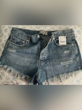 Free People Denim Shorts Size 27